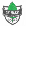 79020500403 GRIT GI 150 2H pásová bruska 150mm dvourychlostní